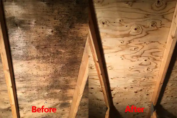 water damage restoration service Kalispell